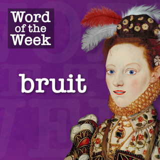 Tudor Time Machine Word of the Week: Bruit