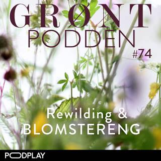 #74 Rewilding & blomstereng