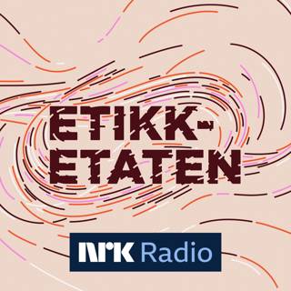 Kompani Lauritzen-effekten: Unge trur dei skal på bootcamp