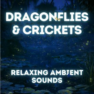 Crickets & Dragonflies at Dusk — 9 Hours Relaxing Nature Sounds for Sleep.