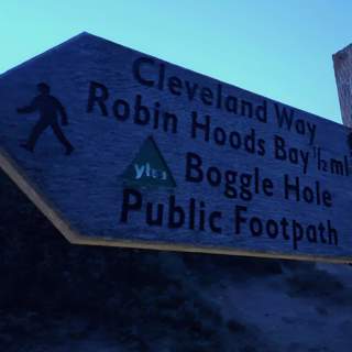 283 Night trees of Boggle Hole (sleep safe)