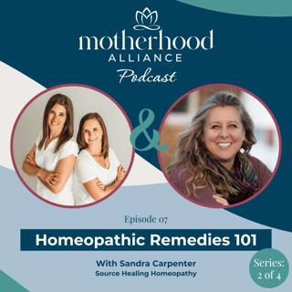 Homeopathic Remedies 101 w/ Sandra Carpenter | Source Healing Homeopathy