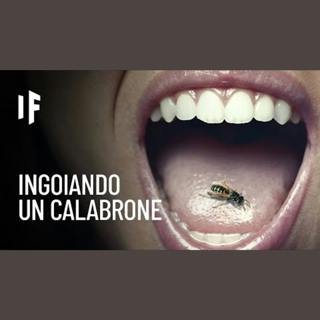 E se ingoiassi un calabrone?
