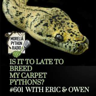 When is it to late to breed Carpet Pythons? Eric & Owen