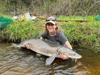 336 - Should we keep stocking Chinook Salmon in Lake Ontario? A converstaion with Dr. Kathryn Peiman