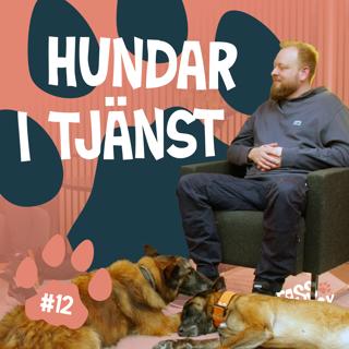 Hundar i tjänst
