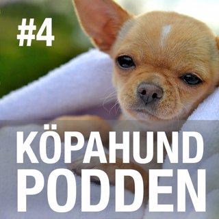 KÖPAHUNDPODDEN #4 När det är dags att hämta valpen