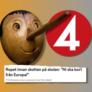 Vad sades EGENTLIGEN i Örebro? Experter slår hål på TV4:s påståenden