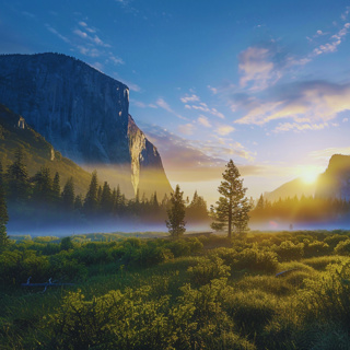Drift to Sleep Beneath Yosemite’s Midnight Sky (Sleep Hypnosis)