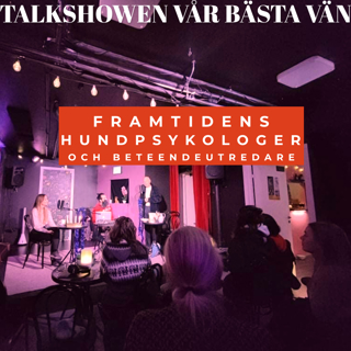 Talkshow om framtidens hundpsykologer och beteendeutredare