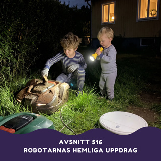 Robotarnas hemliga uppdrag