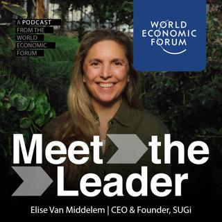 The founder using 'pocket forests' to transform cities and protect biodiversity