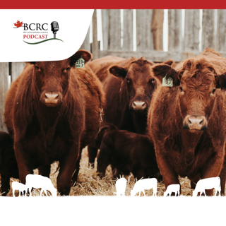 Episode 55: Proper Management Key to Reducing Calf Scours
