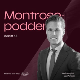 #44 - Tin Fonders Carl Armfelt om teknikbolagens renässans och den stora Europa-rotationen