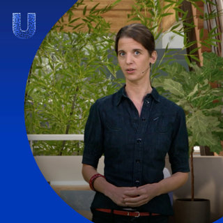 377 Hoe maak je natuur?