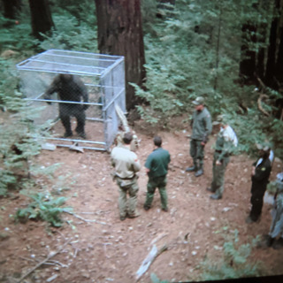 15 TRUE SCARY HUNTING HORROR STORIES