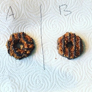Can You Spot The Fake Cookie