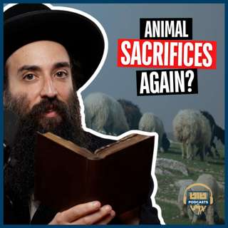 Are We Looking Forward to the Return of Animal Sacrifices?