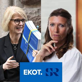 “Det är svårt att bedriva ekonomisk politik”