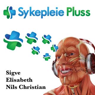 Kroppens muskler på 5 min