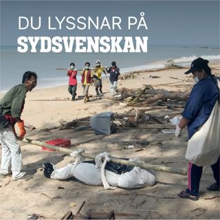 Flodvågen som skakade Sverige