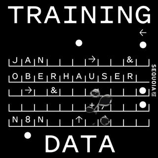 n8n CEO Jan Oberhauser on Building the Universal AI Automation Layer