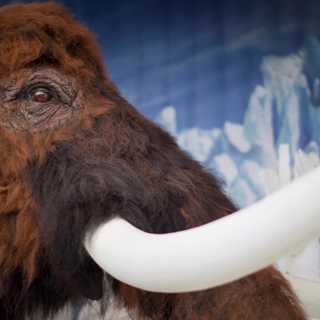 Lägg Beowulf och mammutar under granen!