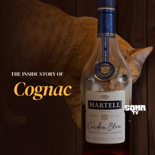 Episode 276: The inside story of Cognac