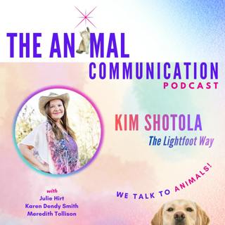 A Doorway to Your Destiny: Animal Wisdom with Kim Shotola