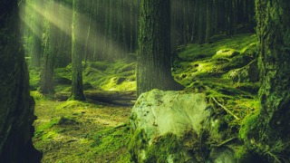 Guided meditation for spiritual awakening and holistic connection with nature in the universe