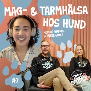 Mag och tarmhälsa hos hundar