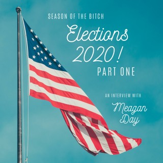 Episode 79: Elections 2020 Part 1, An Interview With Meagan Day