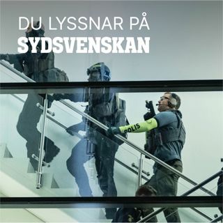 Hur hänger de skånska skolattackerna ihop?