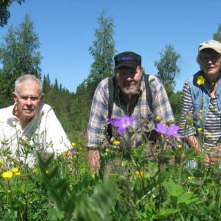 Ormgrop och oknytt