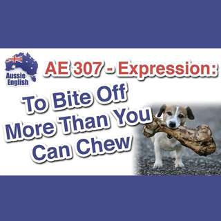AE 307 - Expression: To Bite Off More Than You Can Chew