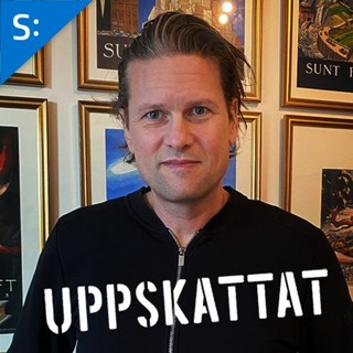 Mattias Svensson om frihet och förmynderi