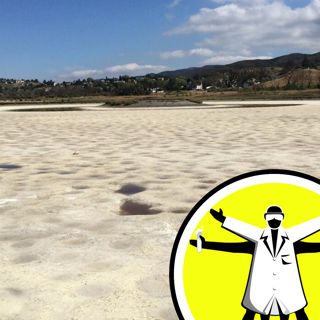Supersized El Nino strikes, and navigation app for the blind