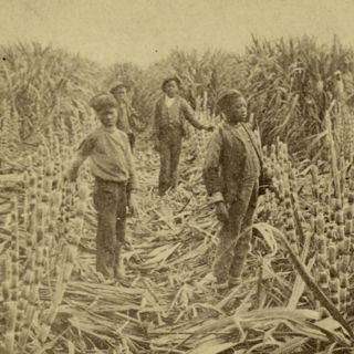 The Land of Our Fathers, Part 1