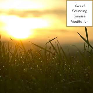 Sweet Sounding Sunrise Meditation