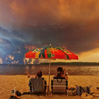 European wildfires RAGE: Are politicians fanning the flames?