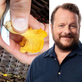 Lycka, mjäll och kantarell: Johan-Mathias Sommarström