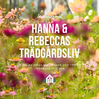 Avsnitt 131 – Köksträdgården, blommor