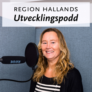 Cosmic införandet - Intervju med Annika, projektledare införandeprojektet FVIS