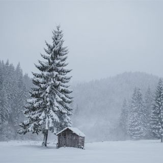 Snow Storm: Winter ASMR - 10 Hours Sleep Sound