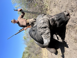 SHOT PLACEMENT on Big Game: American vs. African