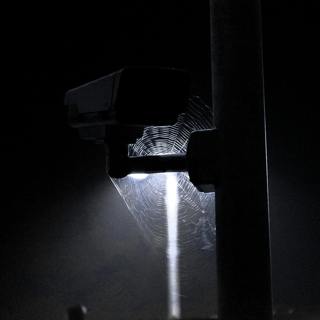 The Spiderweb