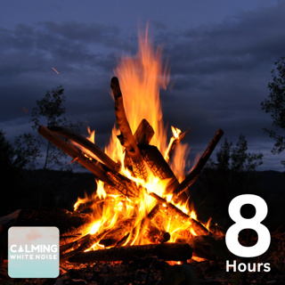 Desert Campfire Ambience (8 Hours) | Crackling Firewood Sounds for Sleeping and Relaxation