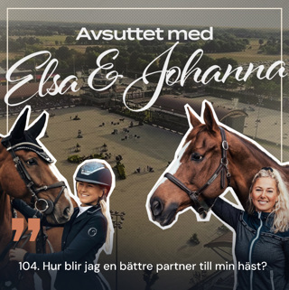104. Hur blir jag en bättre partner till min häst?’