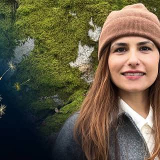 Zeba Safi - Kärleken