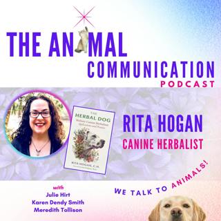 Rita Hogan, The Canine Herbalist